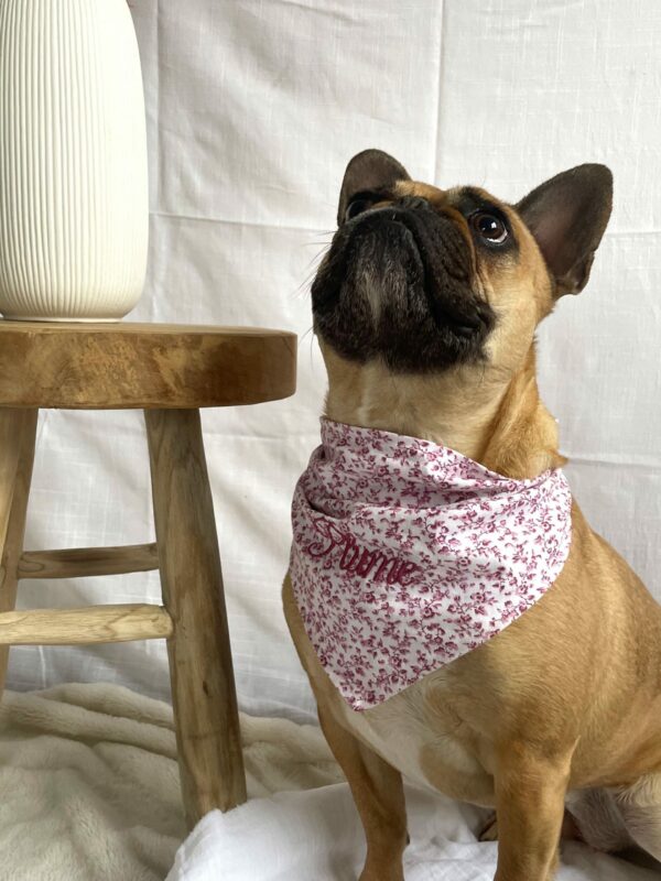Bandana "PLUME"