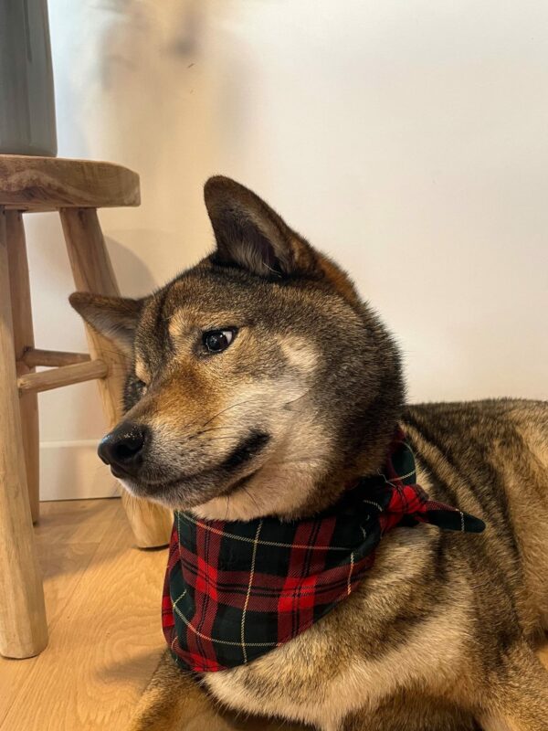 Bandana "TAIKO"