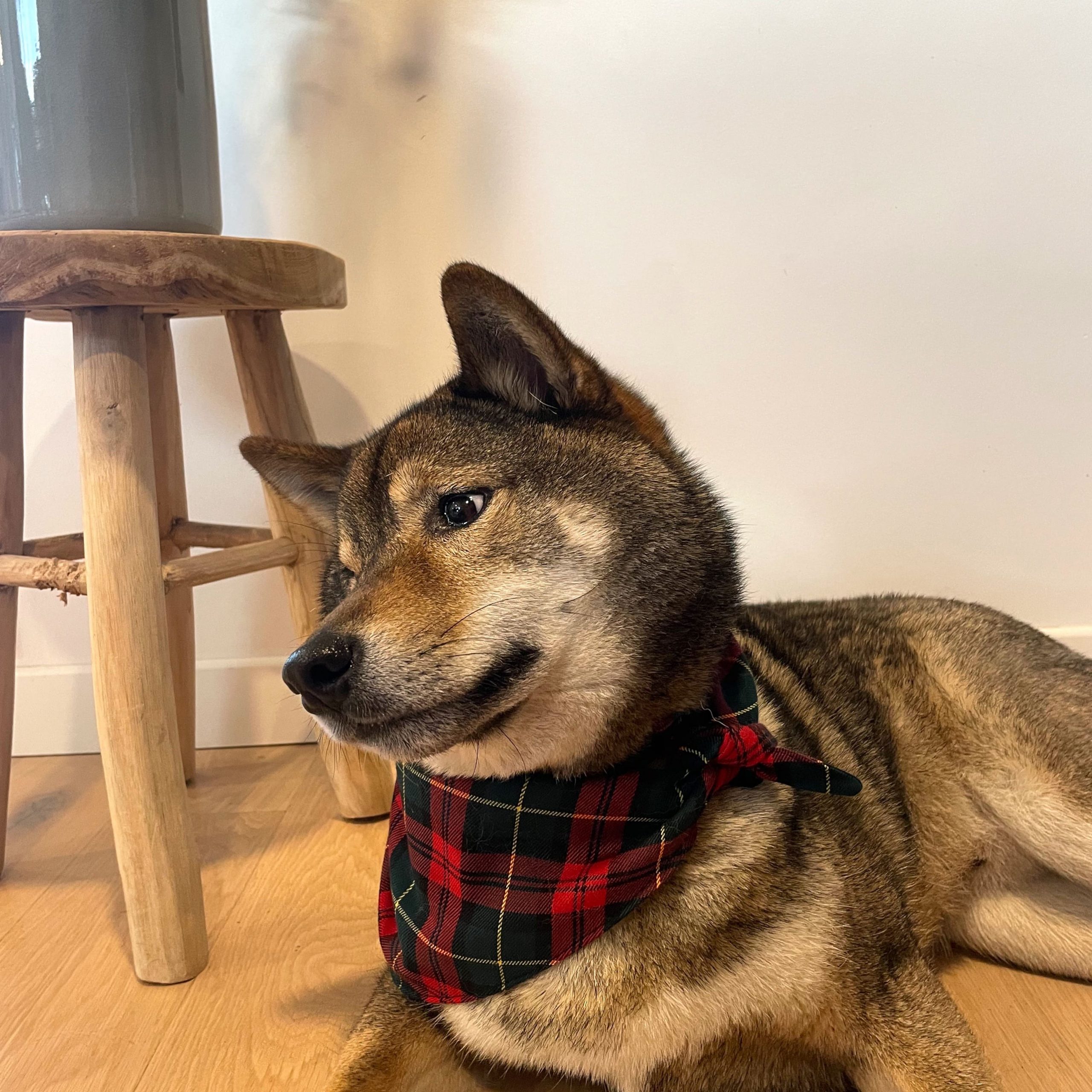 Bandana "TAIKO"