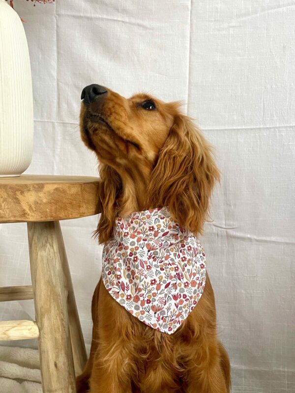 Bandana "USKA"