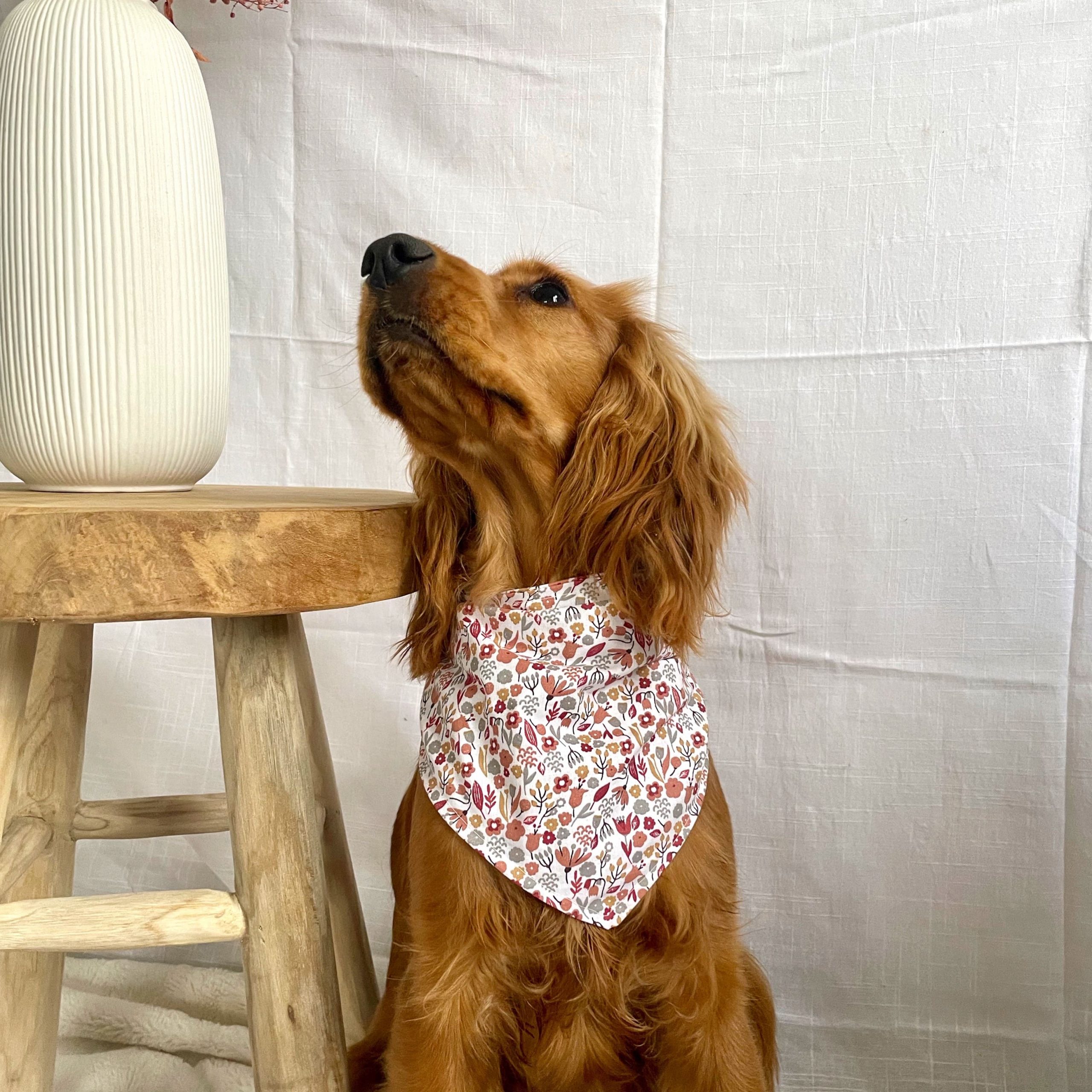 Bandana "USKA"