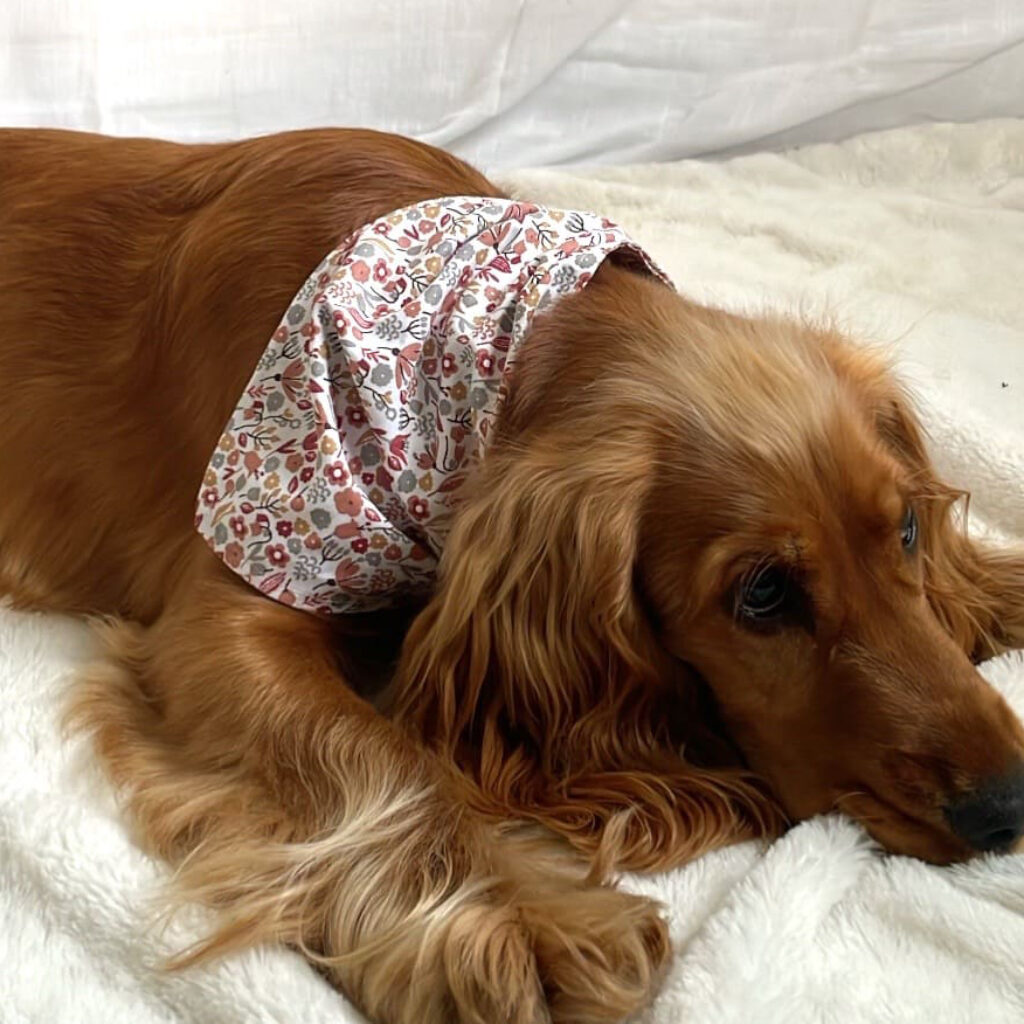 Bandana-USKA-3-1-2